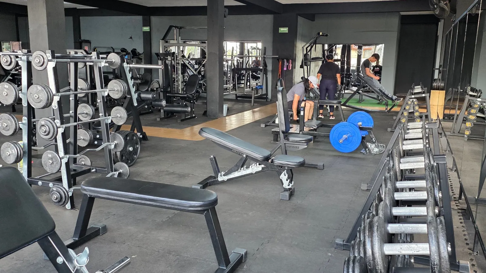 Kraft Gym, zona de peso libre